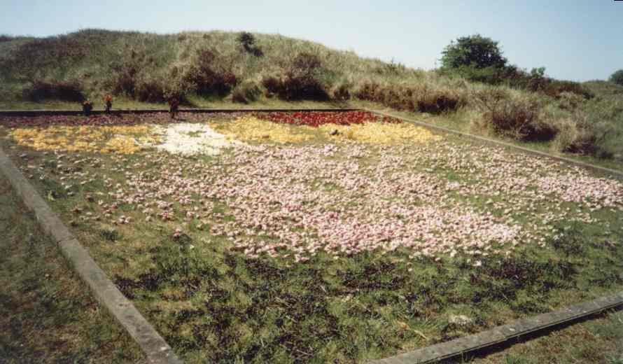 Het strooiveld bij de Eerebegraafplaats